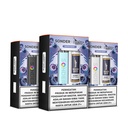 GEEKVAPE Sonder Q2 with American Winter Berry 15ML